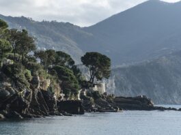 Ile kosztuje 1000 litrów wody?