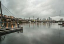 Jak naturalnie użyźnić glebę?