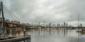 Jak naturalnie użyźnić glebę?