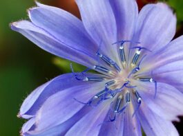 Jaki zamiennik baterii Makita?