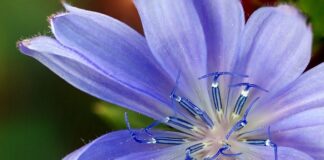 Jaki zamiennik baterii Makita?