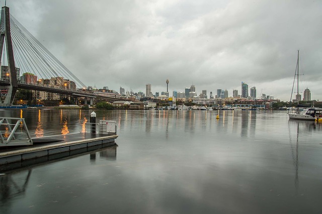Co najlepiej zasiać aby użyźnić glebę? Co najlepiej zasiać aby użyźnić glebę?