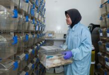 W jaki sposób powinno być wentylowane pomieszczenie w którym przebywają pracownicy? W jaki sposób powinno być wentylowane pomieszczenie w którym przebywają pracownicy?