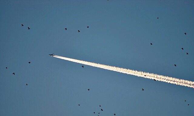 Jak pozbyć się kondensatu z komina?